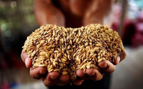 为什么粮食那么多年了不涨价？