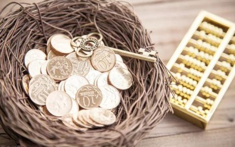 农村可以一次性补缴养老保险吗？