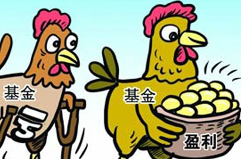 基金公司排行榜前十名2021，基金公司哪家实力强