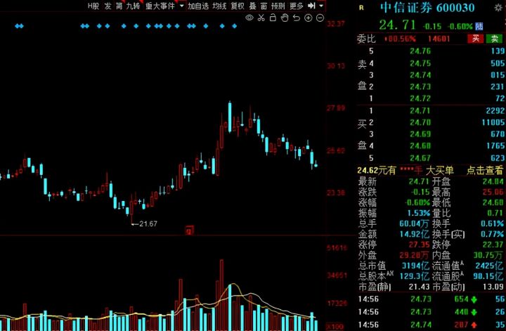 白马股有哪些股票2021（白马股一览表）-19