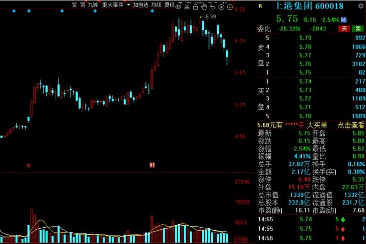 白马股有哪些股票2021（白马股一览表）-11
