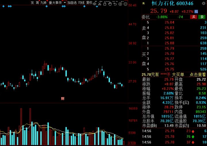 白马股有哪些股票2021（白马股一览表）-12