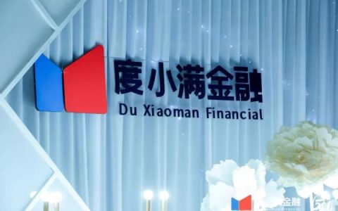 度小满借钱利息高不高，度小满借1万一年多少利息