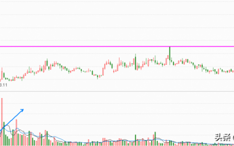 炒股亏了20万怎么办，借的钱炒股亏了怎么办
