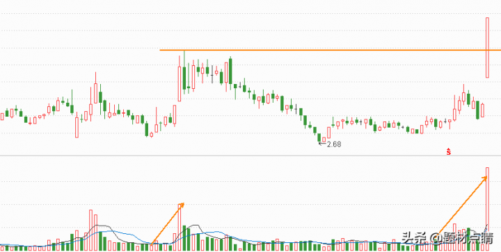 最有潜力的股票排行（最有潜力的低价龙头股）-1