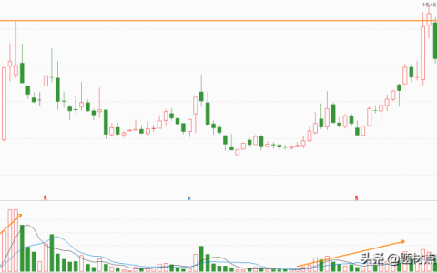 最有潜力的股票排行（最有潜力的低价龙头股）