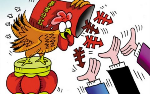 2000块基金分红能得多少（基金分红计算公式和方法）