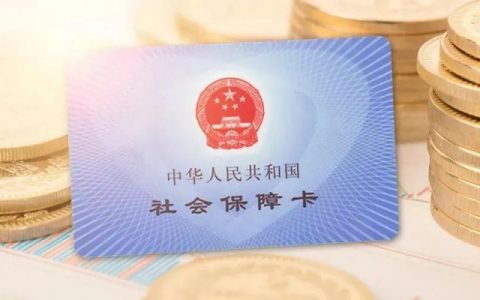 怎么看公司给你交了多少社保（附4种查询社保方法）