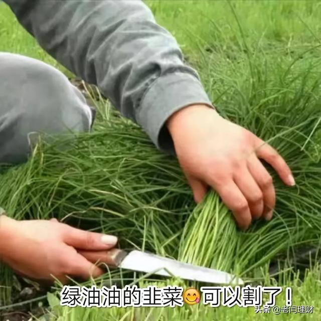 为什么不建议普通人炒股（一辈子不碰股票）-1