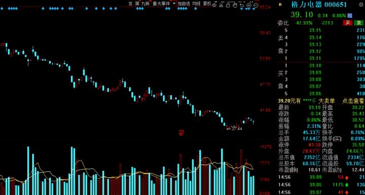 白马股有哪些股票2021（白马股一览表）-10