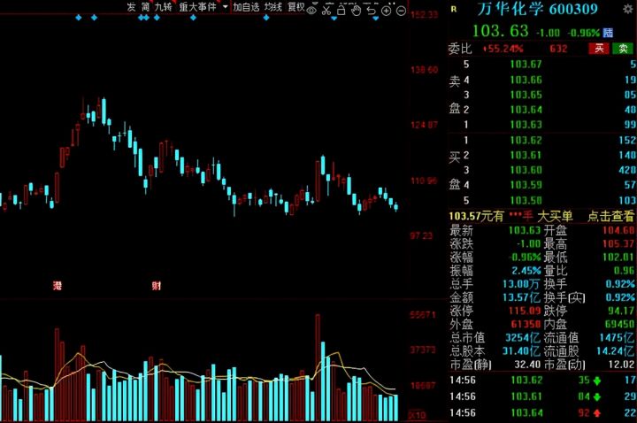 白马股有哪些股票2021（白马股一览表）-17