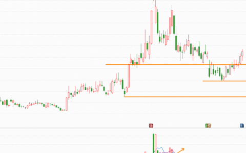 氢能源龙头股票有哪些（中国十强氢能企业股票）