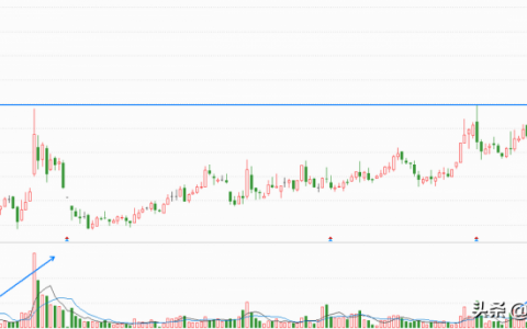 为什么大部分炒股的老股民都亏