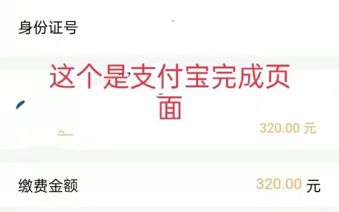 农村医疗保险网上怎么缴费（附详细操作步骤）