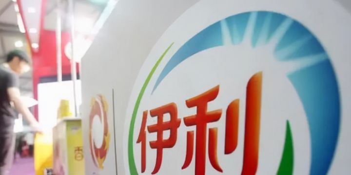 白马股有哪些股票2021（白马股一览表）-25