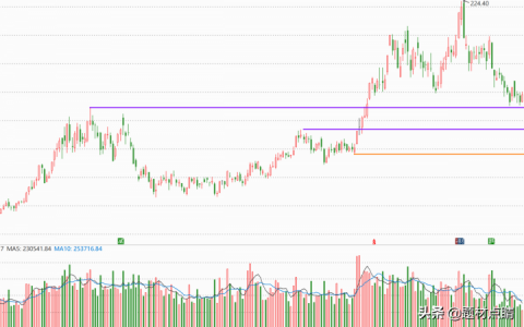 新能源汽车产业链上的绝对龙头（新能源龙头股排名前十）