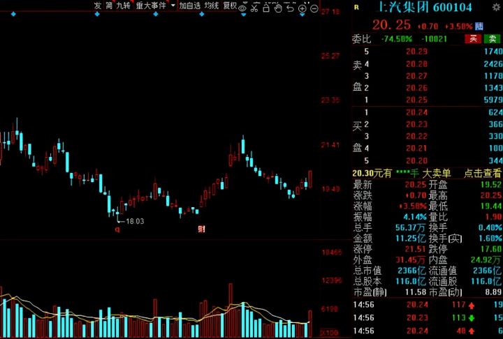 白马股有哪些股票2021（白马股一览表）-8