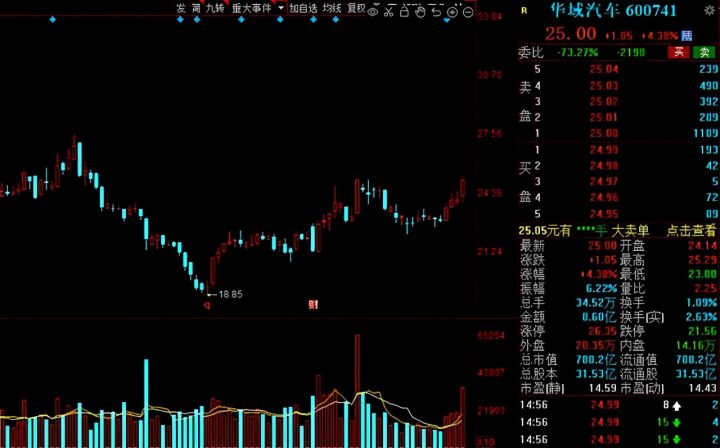 白马股有哪些股票2021（白马股一览表）-13
