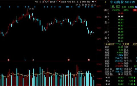 白马股有哪些股票2021（白马股一览表）