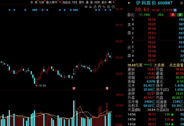 白马股有哪些股票2021（白马股一览表）-26