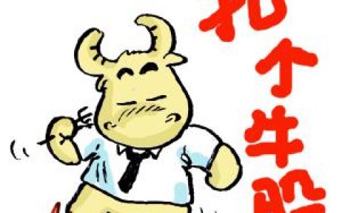 该怎么选股（选股票的方法原则步骤）