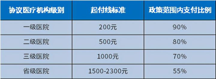 大病保险怎么交费（大病保险报销比例）-2