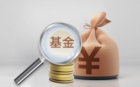 基金最多亏损百分之多少（基金买100会亏1000吗）