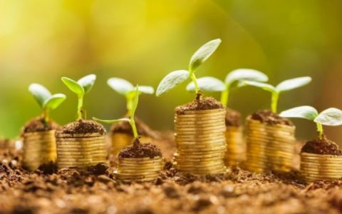 银行贷款找不到担保人怎么办，试试这些解决办法