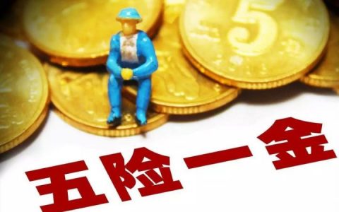 为什么社保只查到三险（社保查询只查到3险的原因）