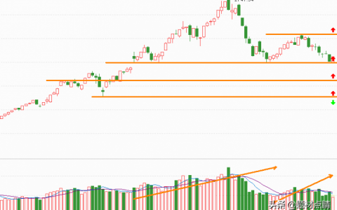 精细化工行业龙头企业（2021精细化工企业十大排名）