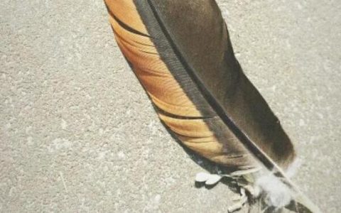 有人给你借三千万，十年后还五千万你愿意吗