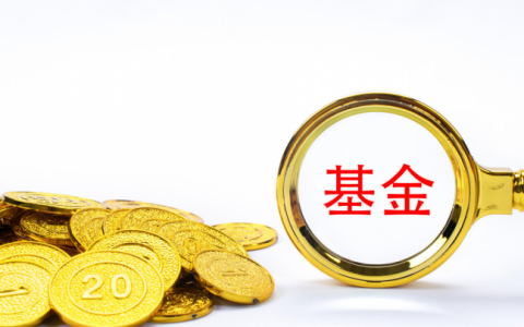 对冲基金是什么意思呢（通俗易懂解释）