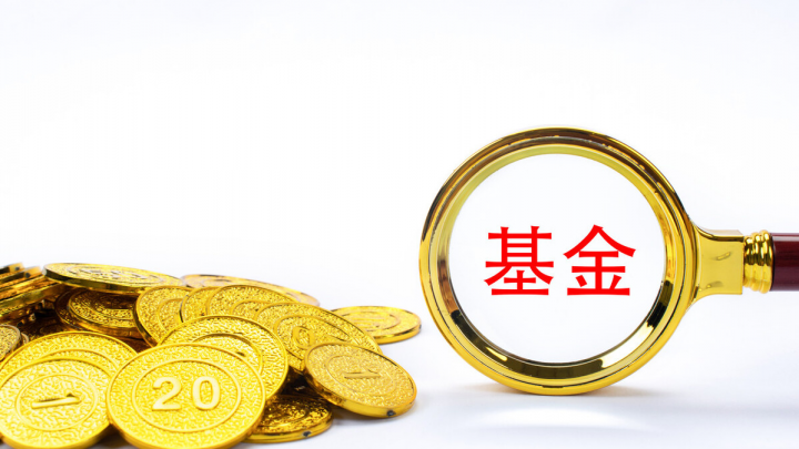 对冲基金是什么意思呢（通俗易懂解释）-3