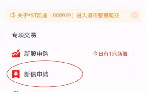 新债是什么意思（打新债的详细操作方法）