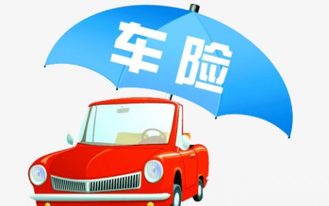 绝对免赔额0什么意思（车损险赔偿范围）