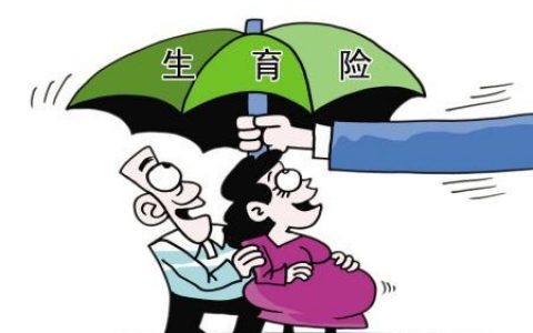 没上班没生育险，生只有职工医保可以报销吗