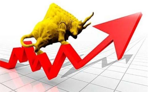 买股票可以长期持有吗（坚持每天做T）