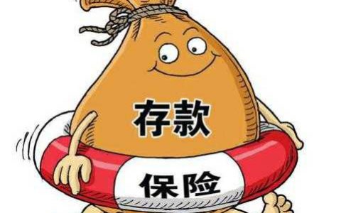 什么是存款保险（存款保险制度的投保机构）