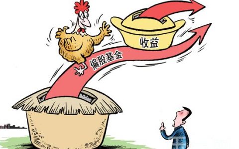 买股票型基金要注意什么，基金注意事项