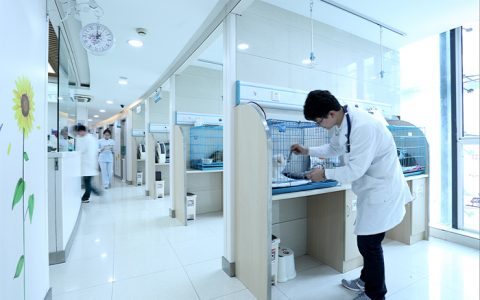 开宠物医院要多少钱，宠物医院和宠物店哪个更赚钱