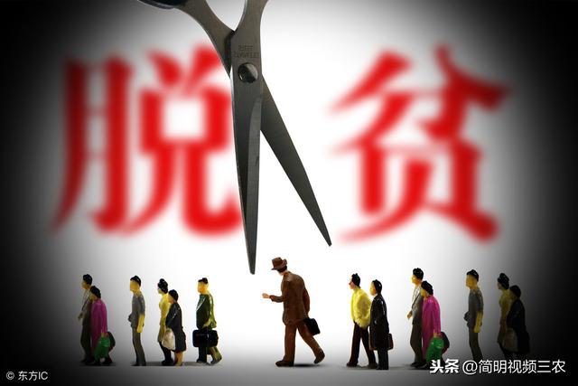 农民无息贷款需要什么条件，农村户口无息贷款20万-2