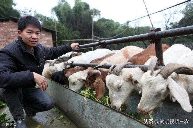 农民无息贷款需要什么条件，农村户口无息贷款20万-3