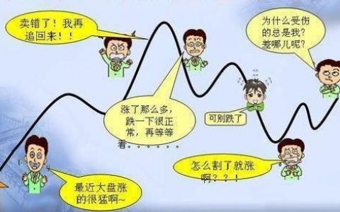 散户最多可以持股多少，散户一天最多买多少股