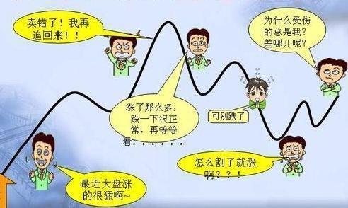 散户最多可以持股多少，散户一天最多买多少股-1