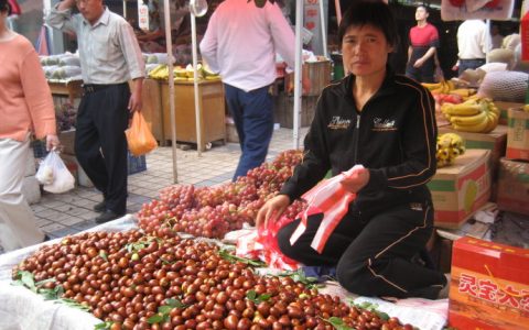 5千元以下投资小项目，推荐这4个