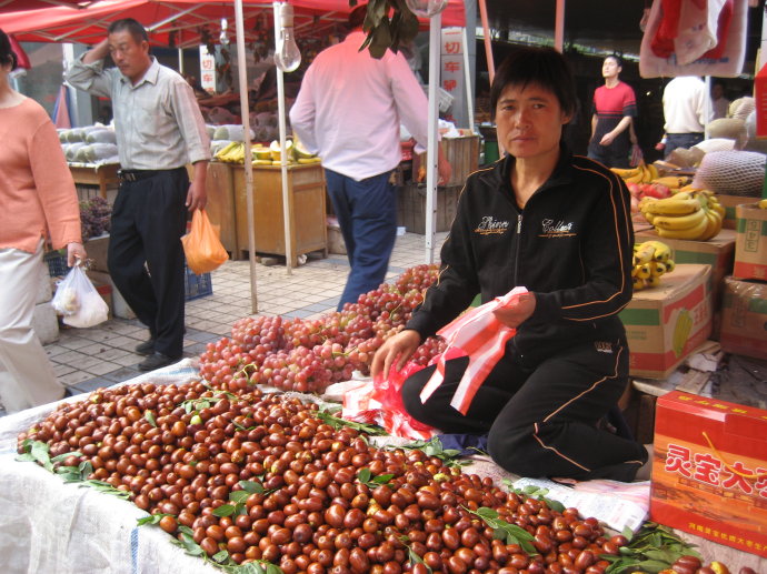 5千元以下投资小项目，推荐这4个-1