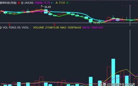 股票低位严重缩量，到底意味着什么