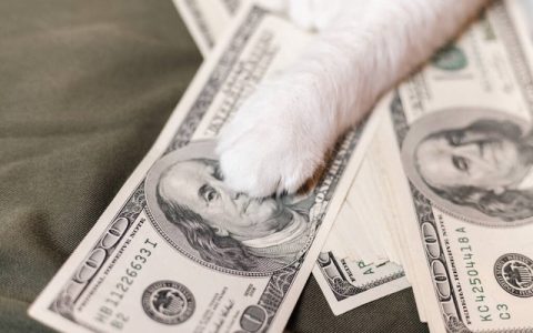 贷款分为哪些类型，什么渠道可以贷款