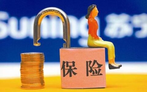 个人交保险自己怎么交，和单位缴纳的区别