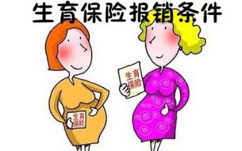生育保险在哪里查询缴费情况，报销条件和流程